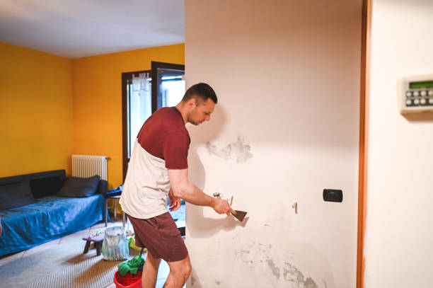 Best Residential Mold Removal  in Estell Manor, NJ
